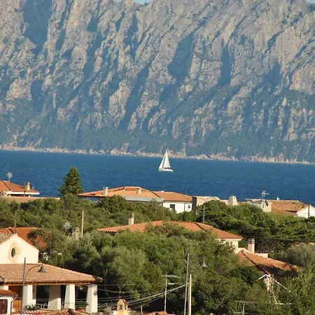 Sardegna Pittulongu * Όλμπια